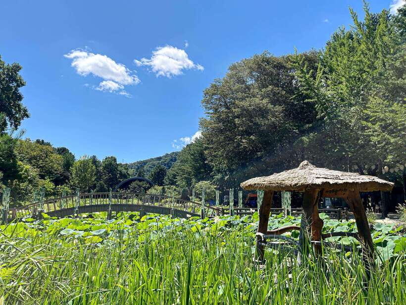 Seoul: Nami Island & Petite France Tour with Railbike Option - Seoul pickup to Gapyeong: coach time that actually matters