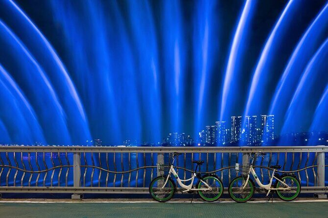 Seoul Night Tour with Han River Cruise and Gyeongbokgung Palace - Who Should Book This Seoul Night Tour (and Who Might Not)