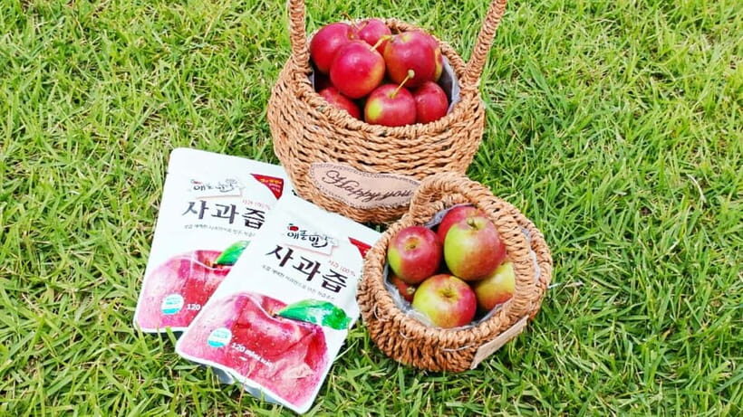 Seoul: Pocheon Art Valley, Garden and Fruit Picking Day Tour - Farm time in Korean seasons: strawberries first, then apples (plus pie for part of summer)