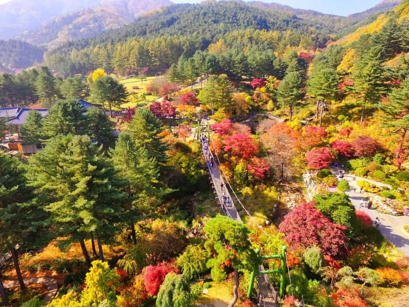 Seoul: Pocheon Art Valley, Garden and Fruit Picking Day Tour - Guides, language support, and a calmer pace than many day tours