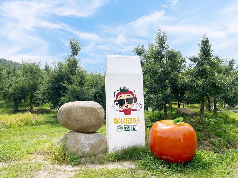 Seoul: Pocheon Art Valley, Garden and Fruit Picking Day Tour - Price and value: what $77 really buys you