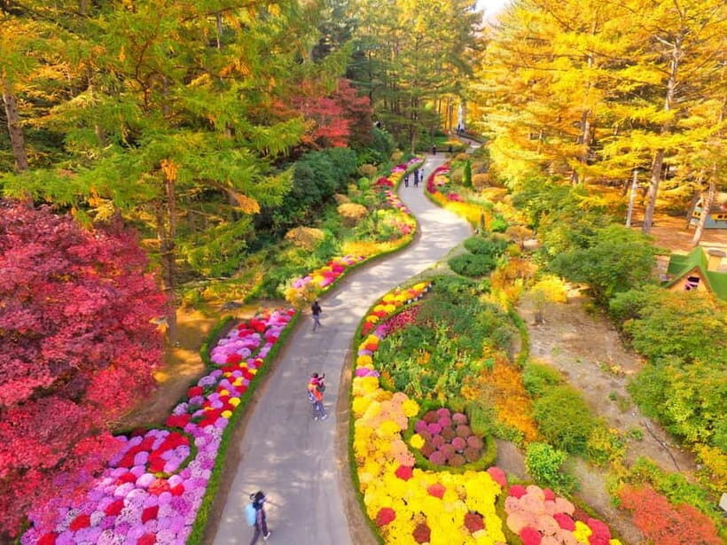 Seoul: Pocheon Art Valley, Garden and Fruit Picking Day Tour - Who should book this Pocheon day tour, and who might not love it