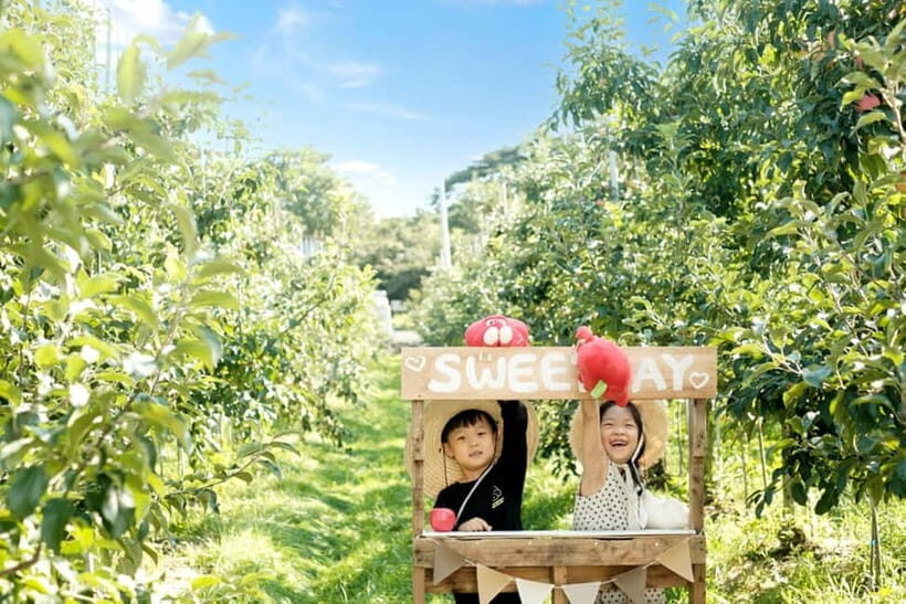 Seoul: Pocheon Art Valley, Garden and Fruit Picking Day Tour - Should you book this Seoul to Pocheon art, garden, and fruit day tour?