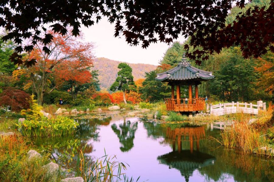 Seoul: Private Customizable Tour to Nami Island and More - Price and Value: What You’re Paying For at $470 per Group
