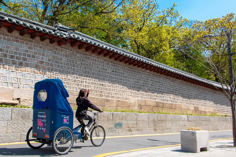 Seoul Private Pedicab Tour : Bukchon Anguk Hanok Village - Seochon alleyways: shops, cafes, galleries, and the “local” feel