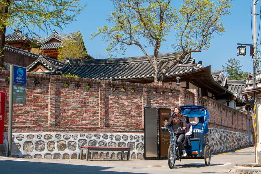 Seoul Private Pedicab Tour : Bukchon Anguk Hanok Village - Talking with your guide (and the rider): why it feels more personal