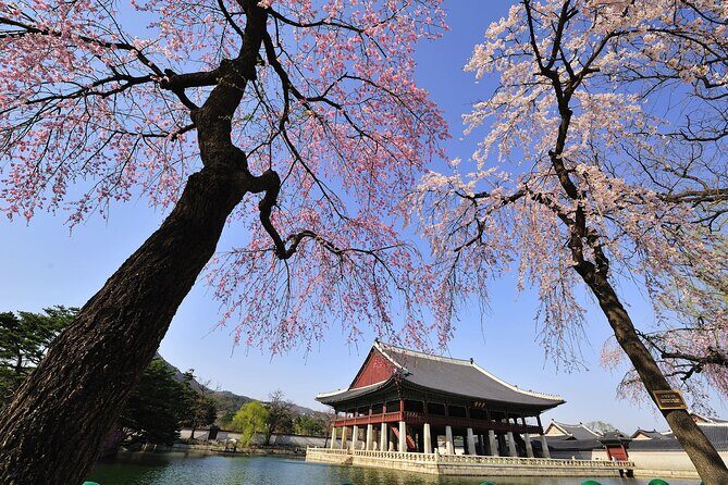 Seoul Private Tour Gyeongbok Palace Bukchon and Gwangjang Market - Bukchon Hanok Village: photo time that doesn’t eat your whole day