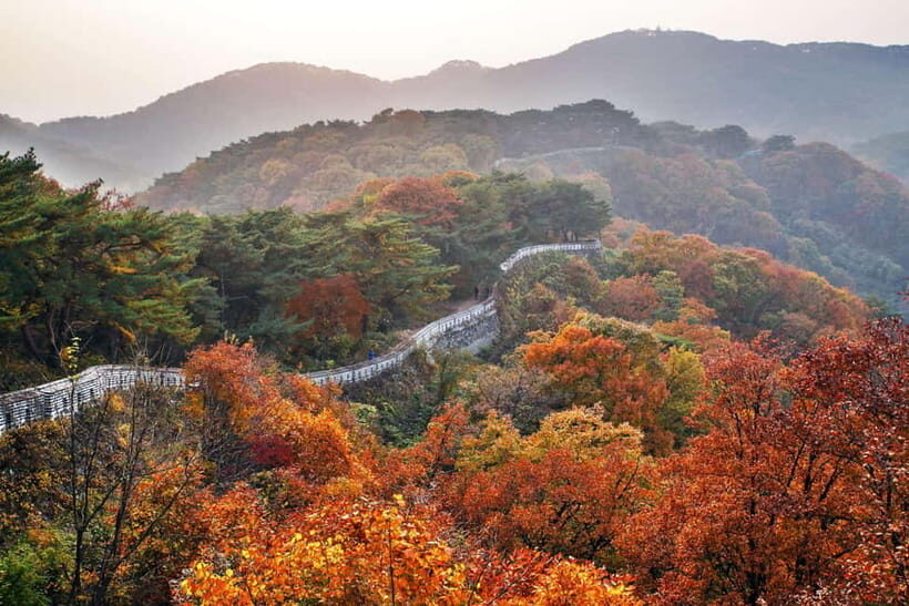 Seoul: Royal Tomb of King Sejong & Icheon Ceramic (EG Tour) - Key highlights you’ll care about