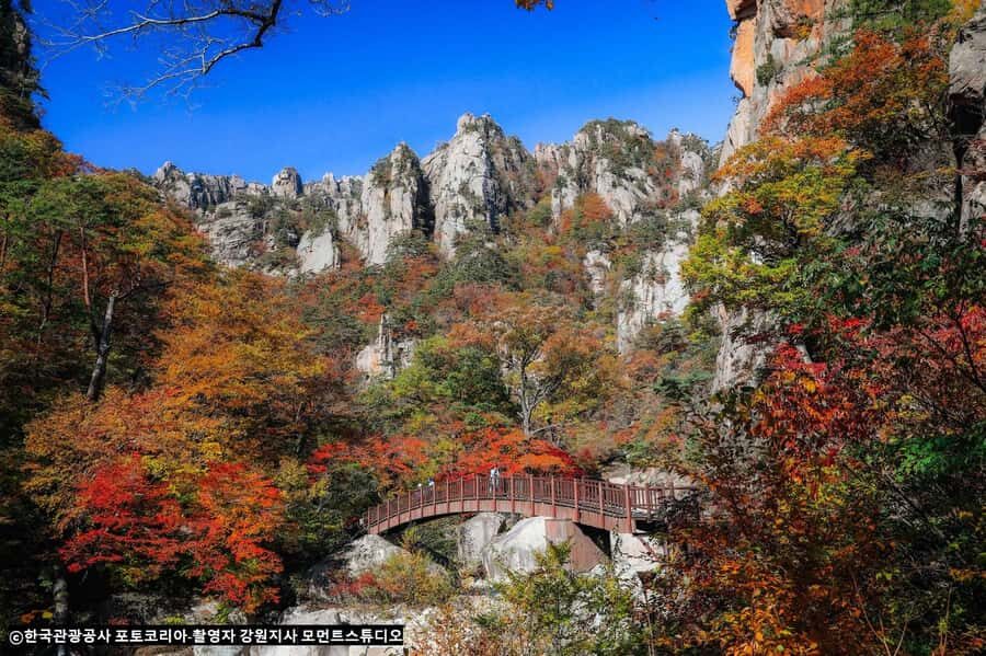 Seoul: Seorak Mountain+Nami Island+Eobi Ice Valley Tour - Should You Book the Seorak Mountain + Nami Island + Eobi Ice Valley Tour?