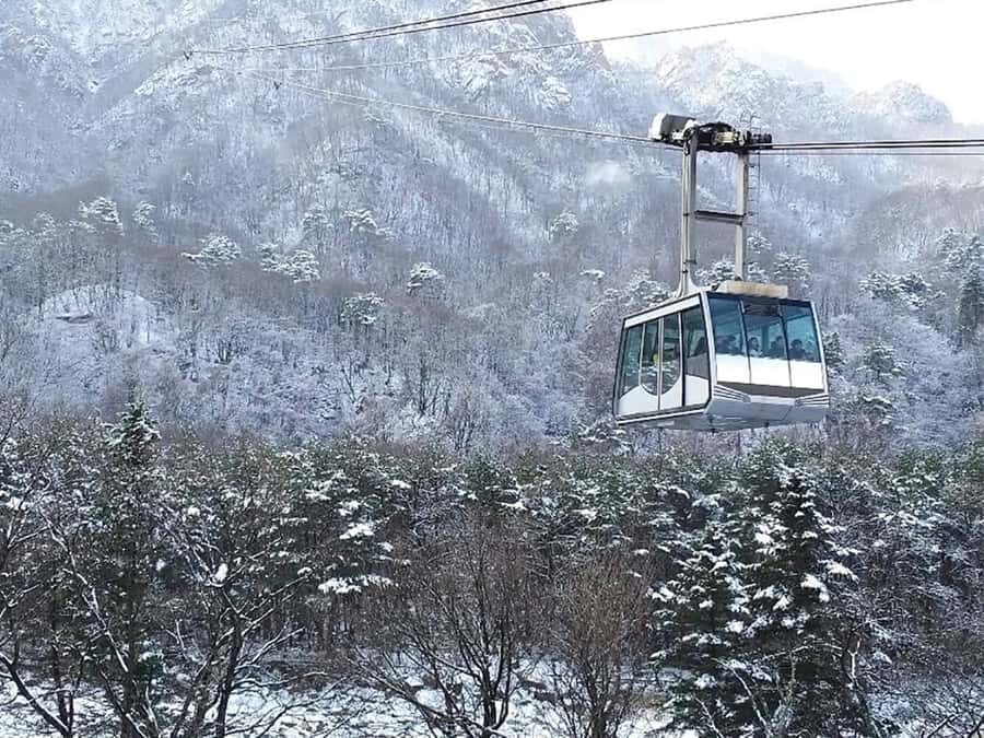 Seoul: Seorak Mountain+Nami Island+Eobi Ice Valley Tour - Nami Island in Snow: Ferry Arrivals, K-Drama Famous Trees, and Easy Photo Stops