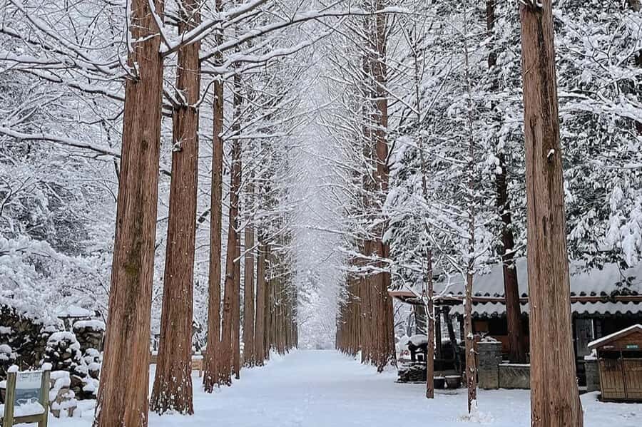 Seoul: Seorak Mountain+Nami Island+Eobi Ice Valley Tour - Eobi Ice Valley (or Garden of Morning Calm): The Ice Factor