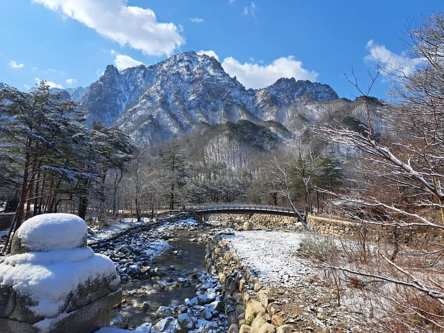 Seoul: Seorak Mountain+Nami Island+Eobi Ice Valley Tour - Guide Style and Timing: Why Hands-Off Freedom Still Works