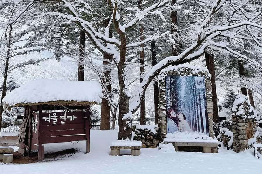 Seoul: Seorak Mountain+Nami Island+Eobi Ice Valley Tour - Price and Value: What $79 Really Buys You in Winter