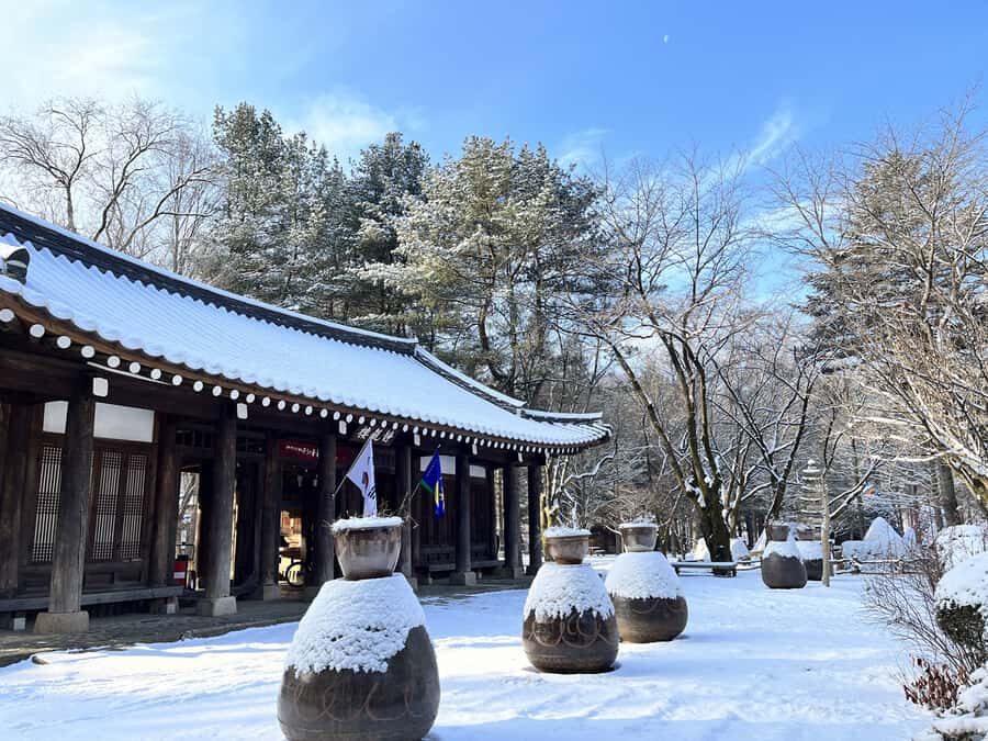 Seoul: Seorak Mountain+Nami Island+Eobi Ice Valley Tour - How This Tour Feels Day-Of: Comfort, Group Size, and Walking Reality