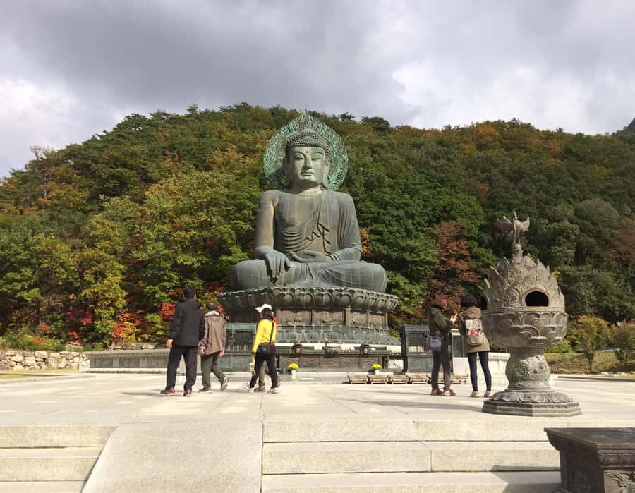 Seoul: Seorak Mountain+Nami Island+Eobi Ice Valley Tour - Who Should Book This Winter Route (and Who Might Not)