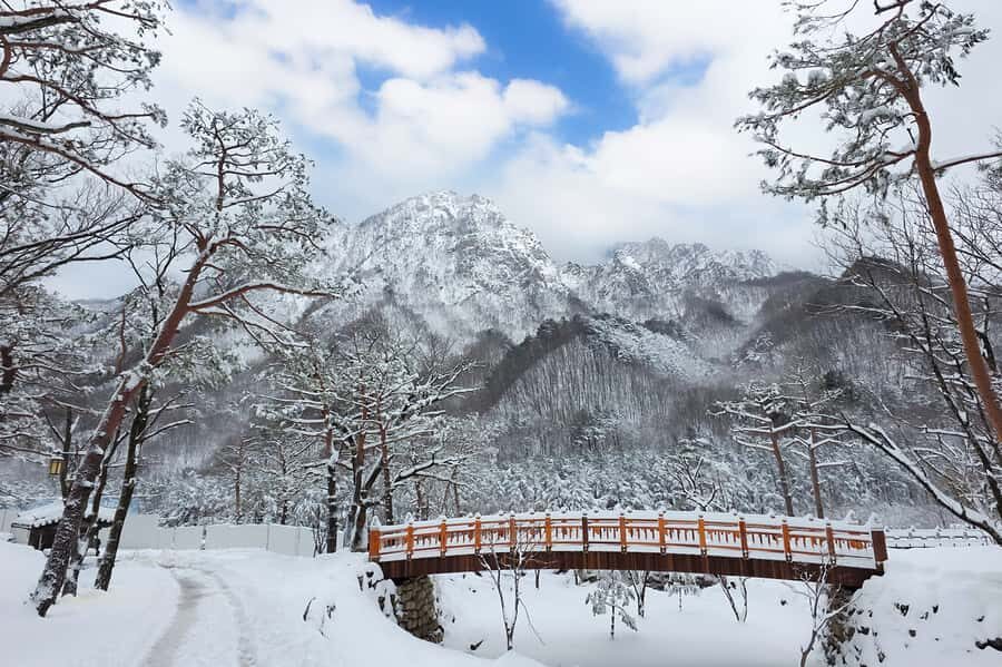 Seoul: Seorak Mountain+Nami Island+Eobi Ice Valley Tour - First Stop: Seoraksan’s Cable-Car Views, Tongil Daebul, and Sinheungsa