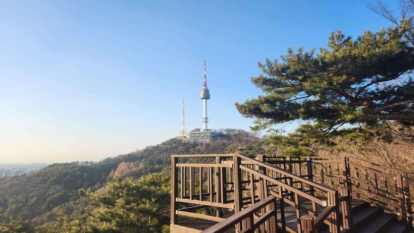 Seoul: Services of a Local for a Day (Paperwork/Tour/Fun) - Key things to know before you book