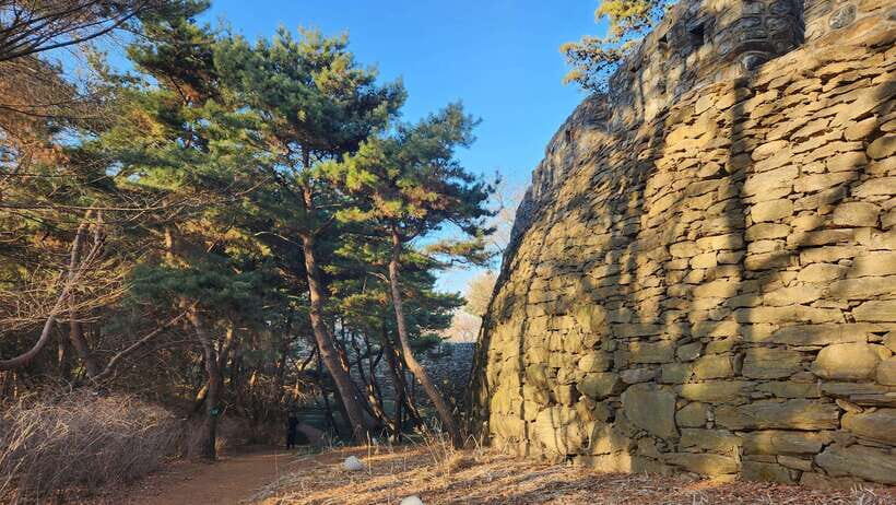 Seoul: Services of a Local for a Day (Paperwork/Tour/Fun) - How the 8 hours get shaped: tours, shopping, museums, and K-pop missions