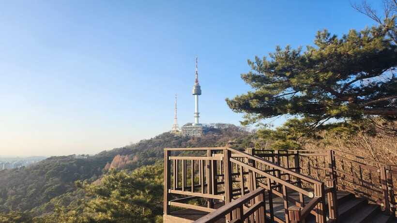 Seoul: Services of a Local for a Day (Paperwork/Tour/Fun) - Pace, private time, and comfort for an 8-hour block