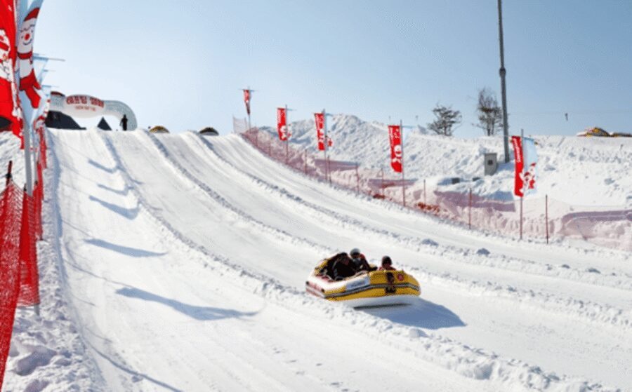 Seoul: SnowyLand in Vivaldi Park with Nami or Alpaca - Seoul to Vivaldi Park: the snow playground day that starts early
