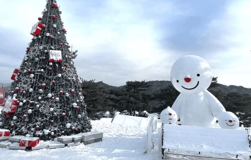 Seoul: SnowyLand in Vivaldi Park with Nami or Alpaca - The included gondola ride: better views, less hassle