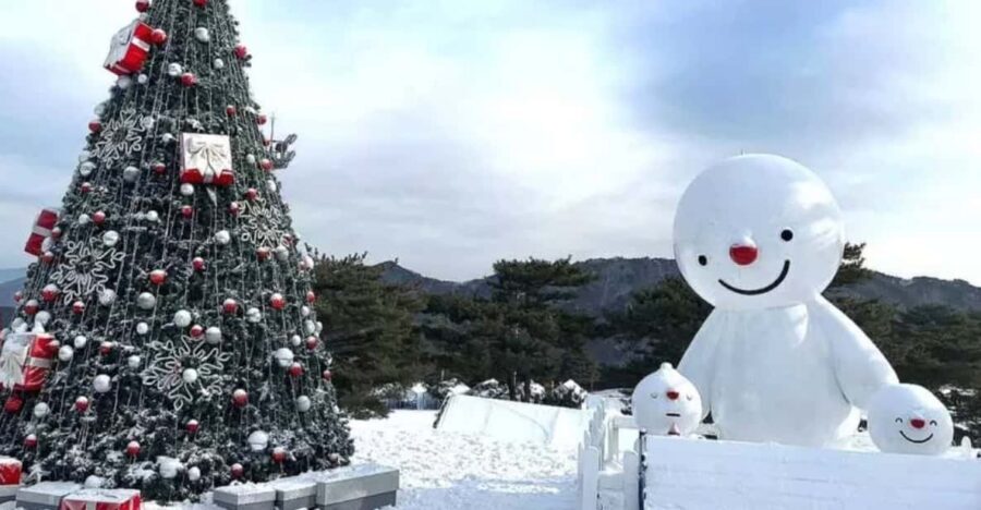 Seoul: SnowyLand in Vivaldi Park with Nami or Alpaca - Nami Island option: a winter riverside walk with big scenery payoff