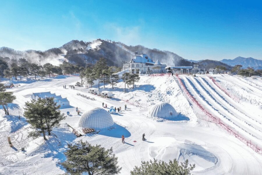Seoul: SnowyLand in Vivaldi Park with Nami or Alpaca - The mid-day lunch stop: what’s included and what you should plan