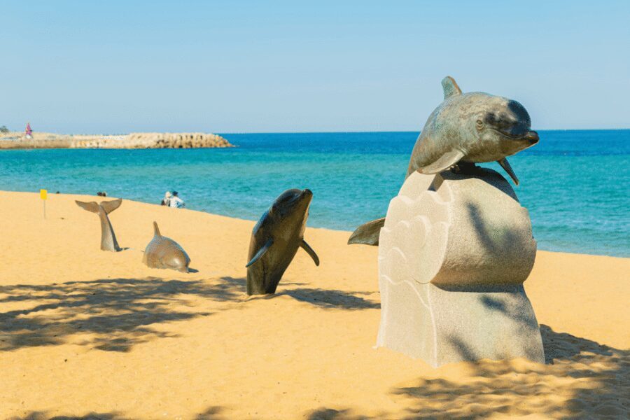 Seoul: Sokcho beach, market, hot spring and Seorak Cable Car - Cheoksan Foot Bath Park: recovery that actually helps