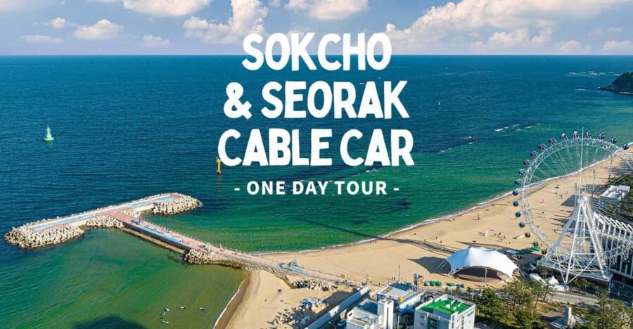Seoul: Sokcho beach, market, hot spring and Seorak Cable Car - Who this tour is best for (and who should skip it)