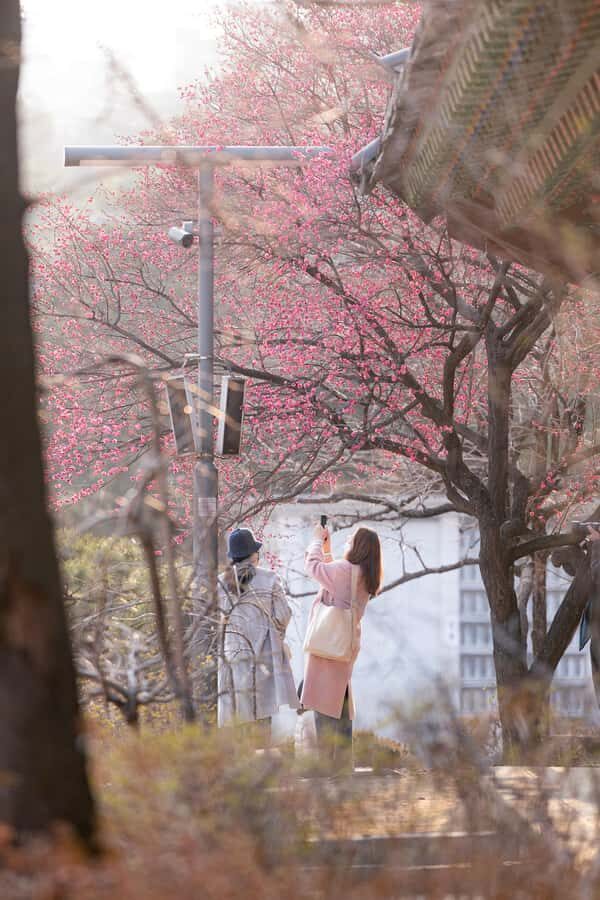 Seoul: Temple & Starfield COEX Mall Gourmet Tour in Gangnam - Who should book this tour (and who might not love it)