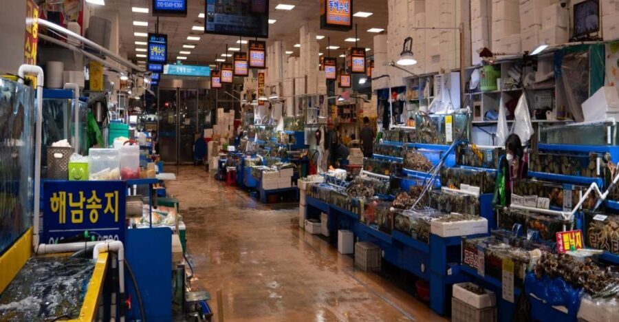 Seoul: The Biggest Sea-food Noryangjin Market Tour - Should you book this Noryangjin Market tour?
