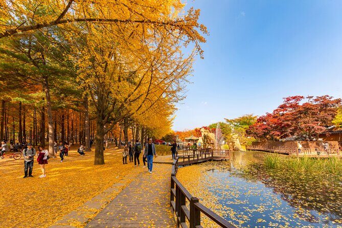 Seoul to/from Nami Island: Round trip Shuttle Bus Service - Winter Sonata vibes, but with real-world timing