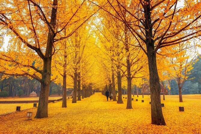 Seoul to/from Nami Island: Round trip Shuttle Bus Service - Returning by 16:30: the wharf schedule is your deadline