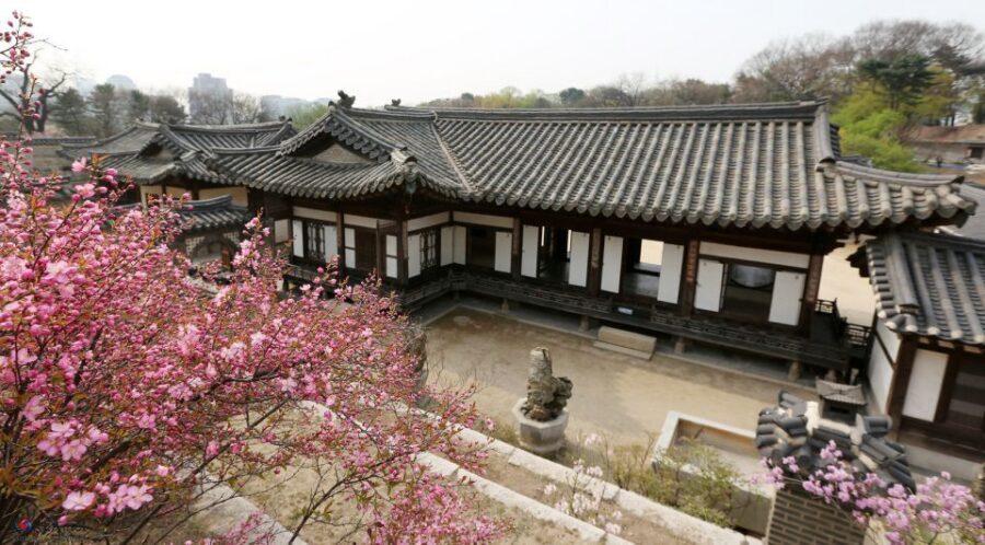 Seoul: UNESCO Sites tour: Palace, Shrine & Bukchon Village - Cheongha Korea Ginseng: a short stop with real context