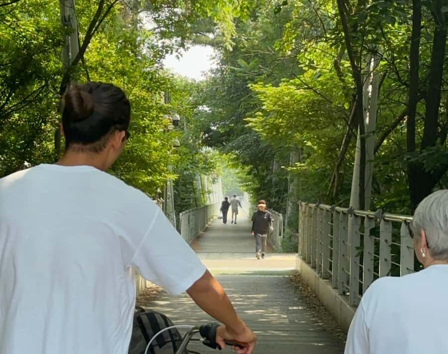 Seoul: Urban Nature Bike Tour along Han River - Quick Take: What Makes This Tour Worth Your Time
