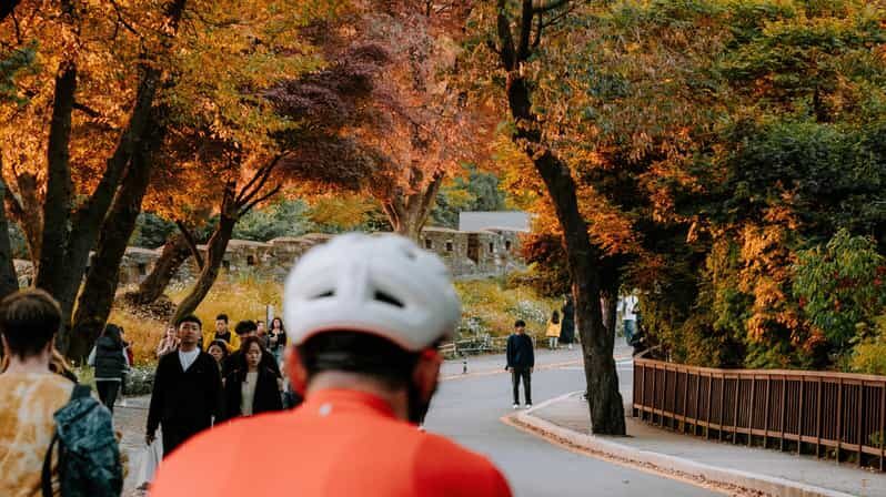 Seoul: Urban Nature Bike Tour along Han River - Who Should Book This Tour (and Who Might Not)