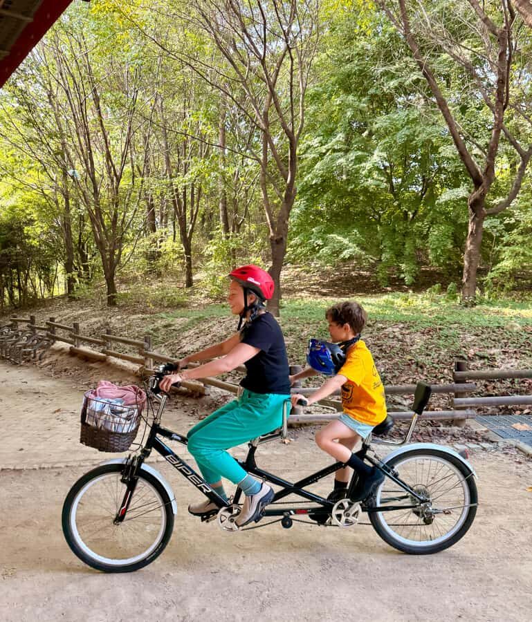 Seoul: Urban Nature Bike Tour along Han River - Why a Han River Bike Ride Works So Well in Seoul Autumn