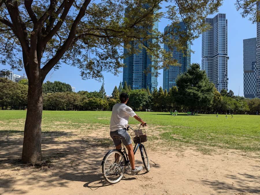 Seoul: Urban Nature Bike Tour along Han River - Price and Value: What $50 Gets You (and Why That’s Reasonable)