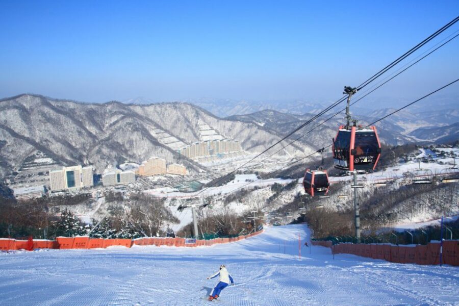Seoul: Vivaldi Park Winter Ski with Nami Island Day Tour - Key Points You’ll Care About