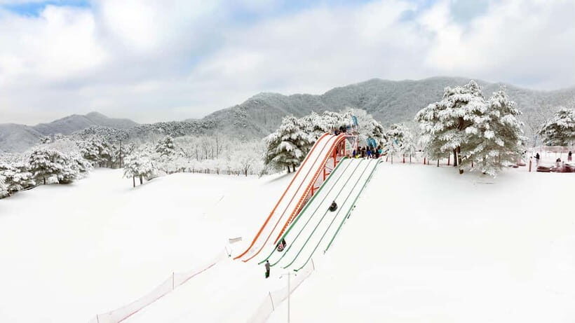 Seoul: Vivaldi Park Winter Ski with Nami Island Day Tour - Package Choice Guide: Shuttle, Ski, Snowboard, or Snowyland Sled