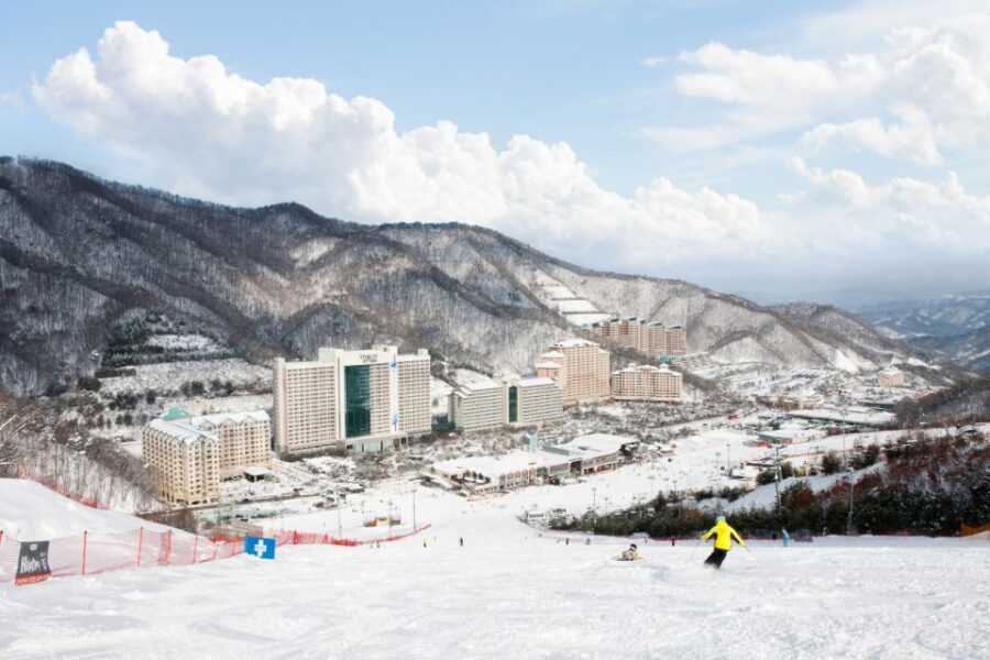 Seoul: Vivaldi Park Winter Ski with Nami Island Day Tour - The 13-Hour Bus Day: What It Feels Like (and How to Survive It)