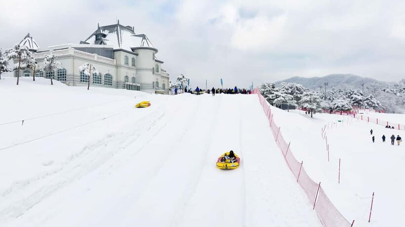 Seoul: Vivaldi Park Winter Ski with Nami Island Day Tour - Morning Pickup Around Central Seoul: Easy Access, Early Start