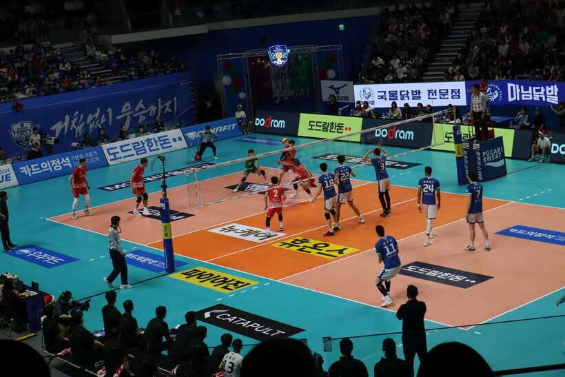 Seoul: Watching Sports Match & Local Food Experience - Choosing your sport night: basketball, soccer, volleyball, ice hockey (and where to meet)