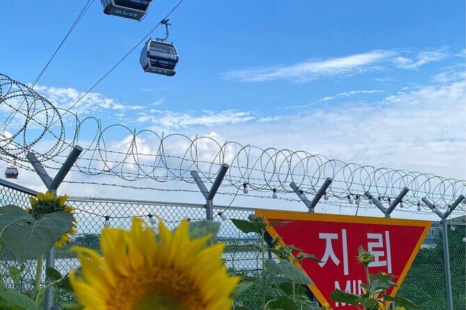 Signature DMZ Tour: Exclusive Defector Talk & Suspension Bridge - Inside the 3rd Tunnel: Tight, Steep, and Strictly No Photos