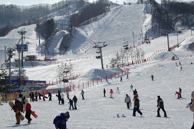 Ski Tour to Jisan Ski Resort from Seoul - Lunch on your own + the ginseng stop on the way back