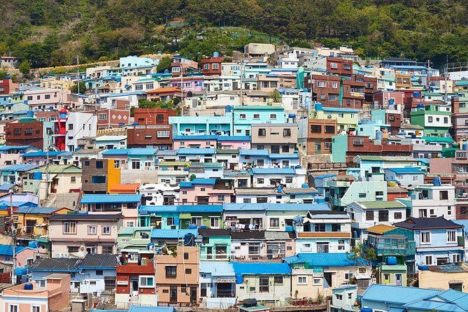 Small Group 7D Korea package Tour with Seoul Gyeongju Busan Jeju - Jeju Day 2: Hallasan area, optical illusions, waterfalls, and ARTE museum light