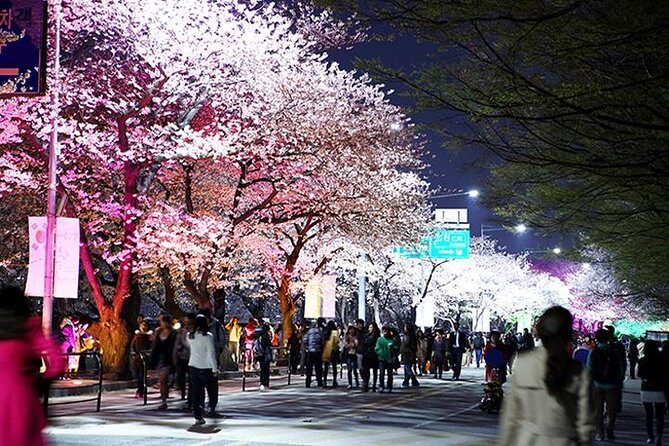 Small Group 7D Korea package Tour with Seoul Gyeongju Busan Jeju - Seoul Day 6: Palaces, Jogyesa, Hanok streets, markets, N Seoul Tower, and Insadong