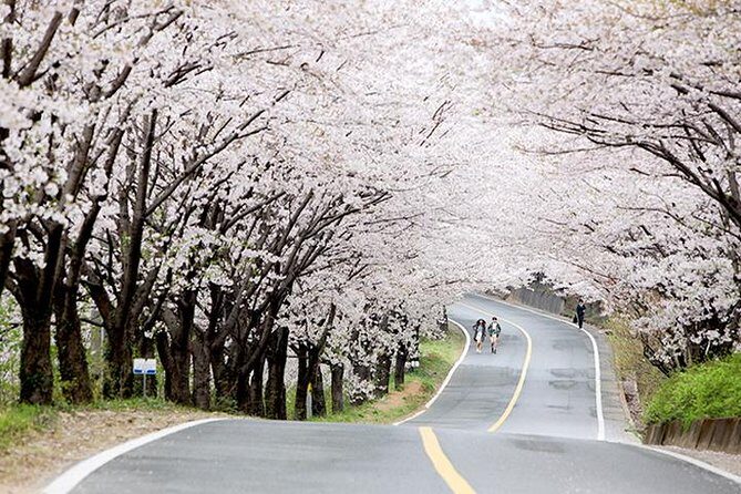 Small Group 7D Korea package Tour with Seoul Gyeongju Busan Jeju - Jeju Day 1: Beaches, Sunrise Peak, cave walks, and a folk village