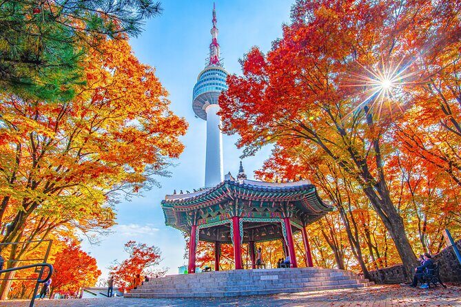 Small Group (7pax) Seoul Tour with Pickup/Dropoff (No Shopping) - Kicking off at Gwanghwamun Square and Gyeongbokgung Palace