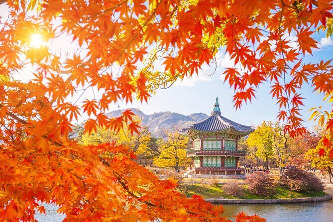 Small Group (7pax) Seoul Tour with Pickup/Dropoff (No Shopping) - Bukchon Hanok Village: traditional streets with a guided story